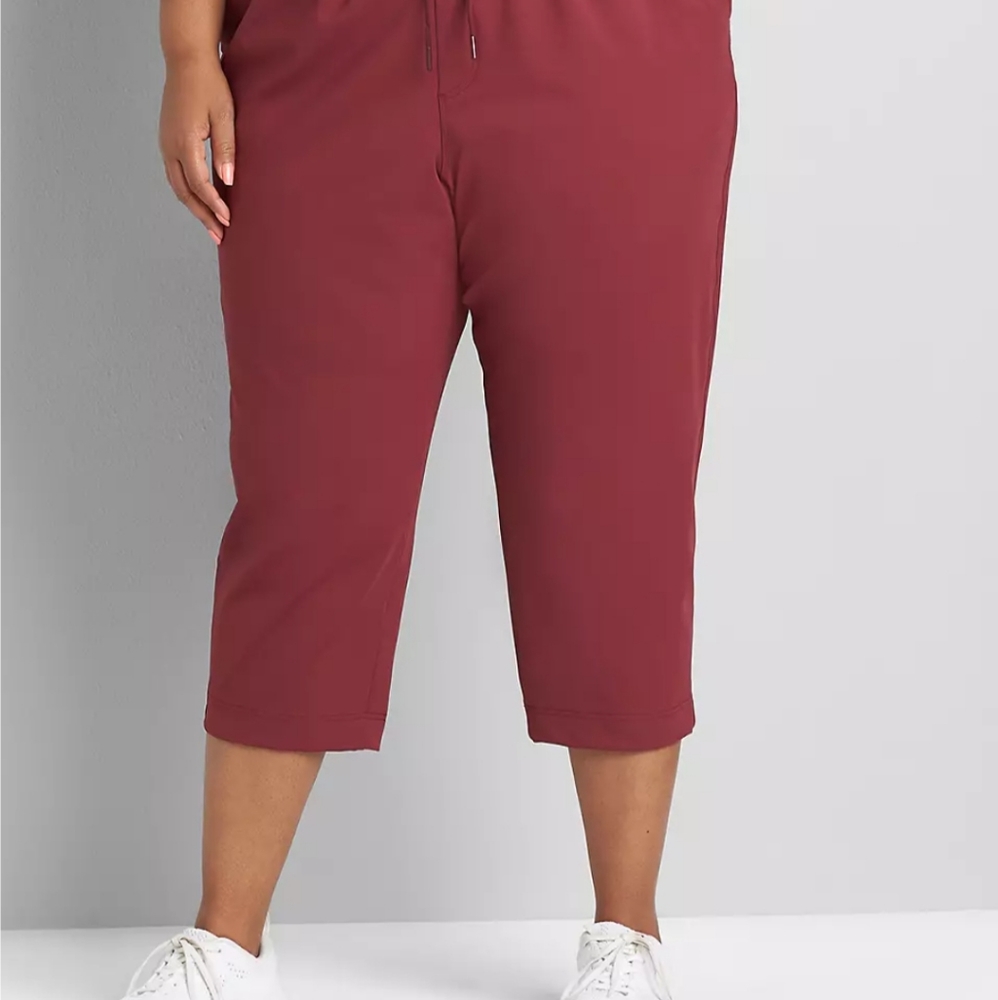 Lane bryant LIVI Capri 18/20